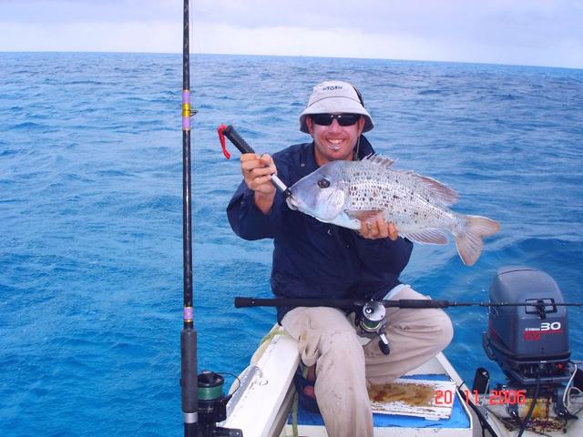 Japanese Sea Bream - 3M of water inside the Lagoon